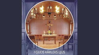 Cover art for Jesus loves you