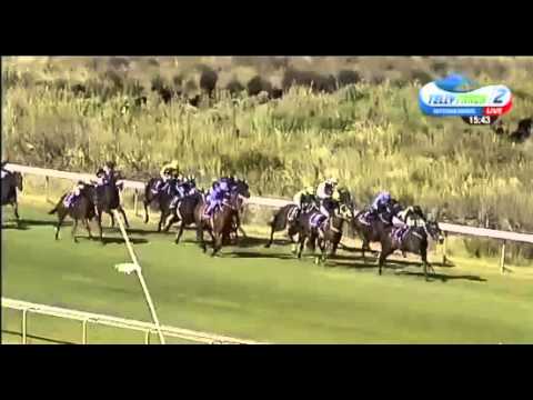 Legal Eagle Queens Plate closing stages