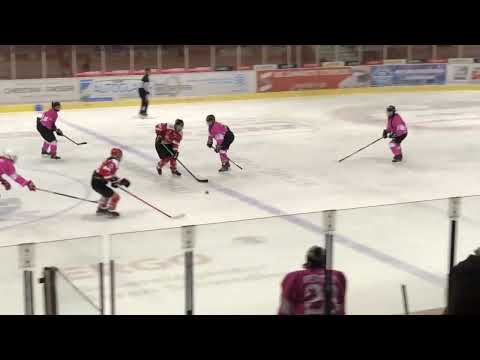 Damenteam Crimmitschau/Halle gegen die Ladies des HSV