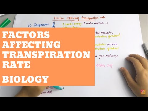 Biology - Factors affecting Transpiration Rate Video