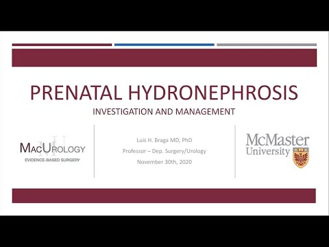 11.30.2020 Urology COViD Didactics - Prenatal Hydronephrosis