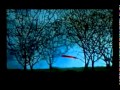 DEVENDRA BANHART - A RIBBON