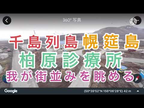 パラムシ科 - 定義