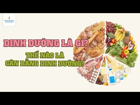 , title : 'Dinh dưỡng là gì? Thế nào là dinh dưỡng cân bằng?'