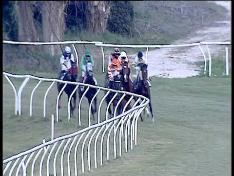 Galoppo 13/01/2020 - 5ª corsa