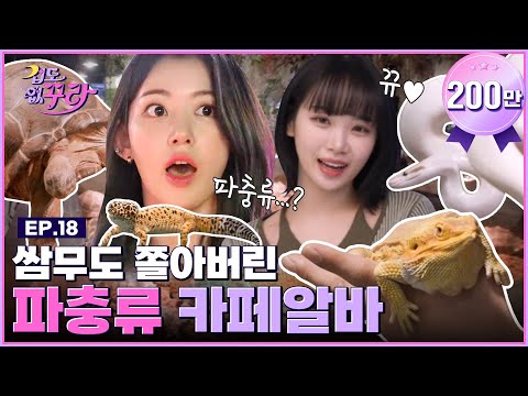 아이콘