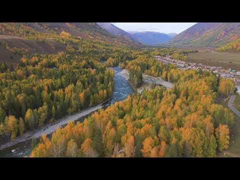 Autumn in Hemu - Xinjiang 秋天的禾木 - 新疆 Drone 4k