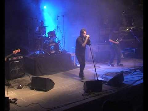 BEETLE JUDGE 8 drunken gods.