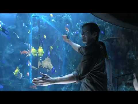 Samsung 3D LED TV "Aquarium" :60TV