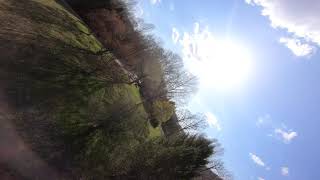 Freestyle FPV full speed into tree