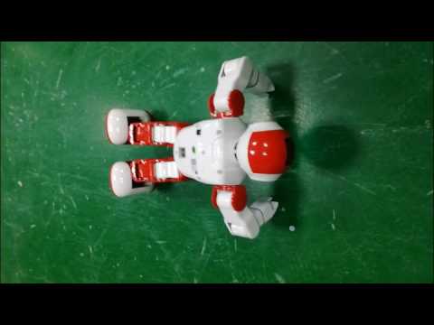 Sricam 2017 New Products--Smart home Robot Camera