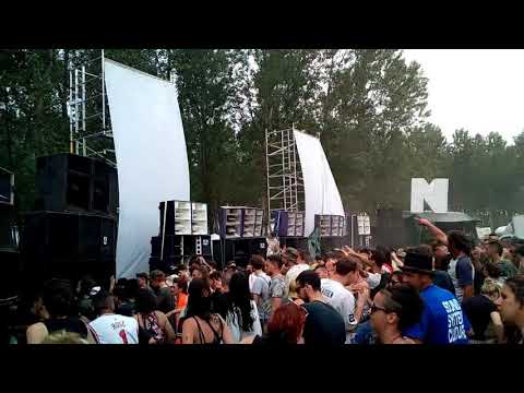 20 years Nonem Organisation