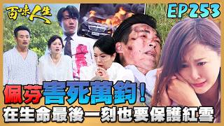百味人生 EP253 完整版｜萬鈞犧牲性命保護最愛的紅雪 承諾下輩子繼續相愛！冠偉死不當「徐冠偉」！最後一刻推開若晴遭警打成蜂窩！｜Bittersweet Destiny｜【飲后】