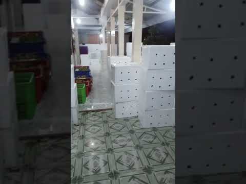 CHUYÊN SỈ CAM XOÀN LAI VUNG KHẮP CẢ NƯỚC | 0936 083 444 | HÀNG CHUẨN VÀ CHẤT LƯỢNG
