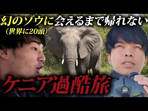 英語文化学科 世界に20頭しかいない幻のゾウ見れるまで帰れないサファリ旅。