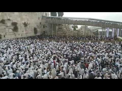 El kotel en yom Ierushalaim,recitando el halel