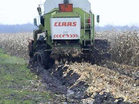 Agrofamily KFT kukorica aratás 2010