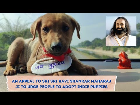Conveying a message to Sri Sri Ravi Shankar Maharaj Ji on Indie Puppies Adoption.