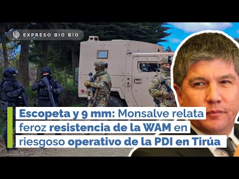 Escopeta y 9 mm: Monsalve relata resistencia de la WAM durante operativo de la PDI en Tirúa