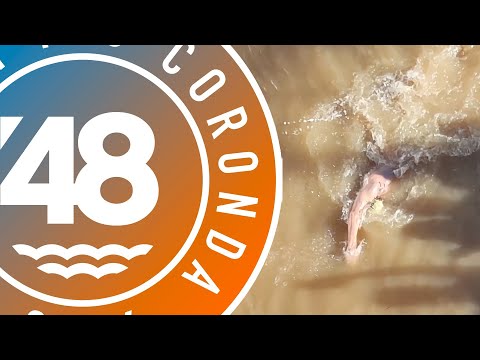 48 MARATÓN INTERNACIONAL SANTA FE CORONDA 2026