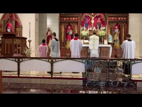 Alleluia - Dominica in Albis in Octava Paschæ (Mt 28:7; Jn 20:26)