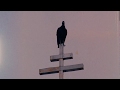 LOCAL H - SUNDAY BEST (Official Video)