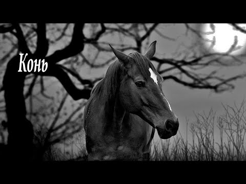 Любэ -  Конь (HD720p)