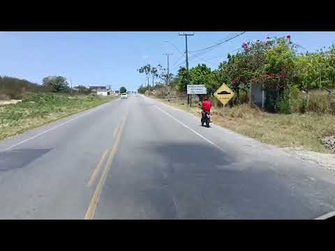 Jacaré dos homens (AL)