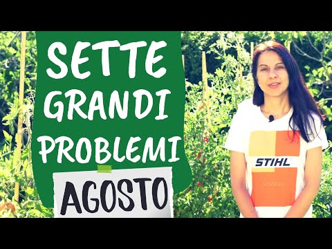 , title : 'Orto di AGOSTO: ecco 7 problemi da evitare'