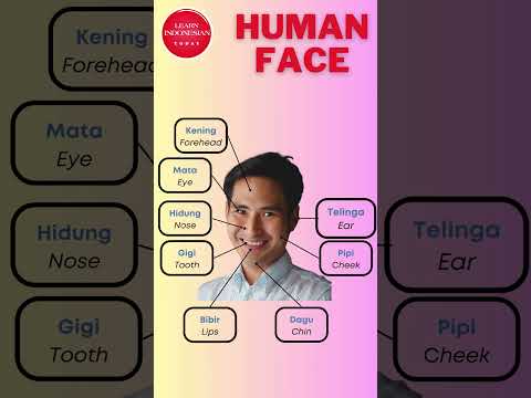 Learn human face parts vocabulary in Indonesian! 🇮🇩 [Human face 4]