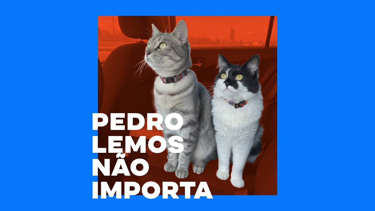 As Aventuras de Poliana - PEDRO LEMOS NÃO IMPORTA #009