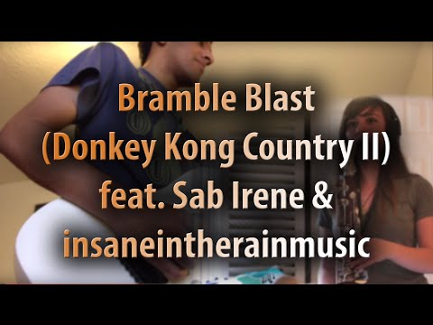 Bramble Blast (Donkey Kong Country II) feat. Sab Irene & Insaneintherainmusic