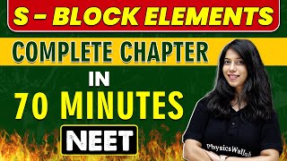 S - BLOCK ELEMENTS in 70 minutes || Complete Chapter for NEET