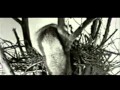 Vallejo - Snake in the Grass 