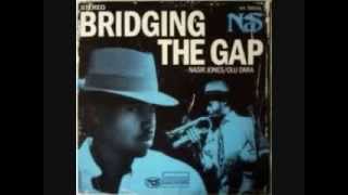 Nas   Bridging The Gap Marley Marl Remix ft  Olu Dara 360p