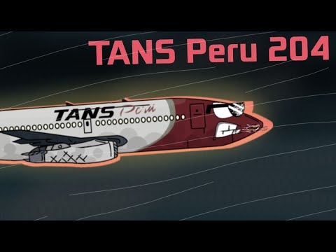 Zenni and Ascent And Collapse