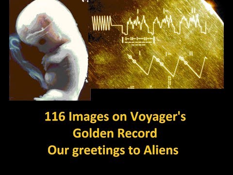 116 images on the Voyager Golden Record