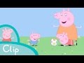 Peppa Pig Episodes Mummy Pig Plays Piggy In The Middle Clip
