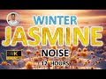 Winter Jasmine Yellow Noise for Deep Sleep, Study and Tinnitus Relief | 12 Hours | BLACK SCREEN |