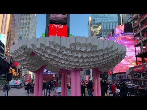 NYC Times Square & Valentine’s Day
