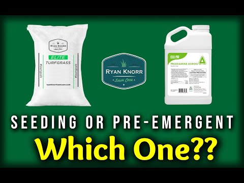 Should You SEED YOUR LAWN or use PRE-EMERGENT In Spring??