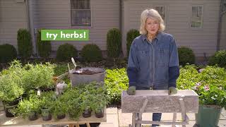 Miracle-Gro Ask Martha: Container Gardening 101