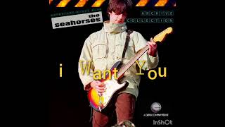 I Want You - The Seahorses - Studio Version