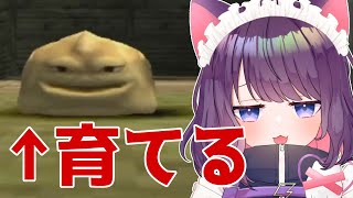 【モンスターファーム２】まだまだいけるよな？【#ティマのお給仕 /黒宮ティマ】