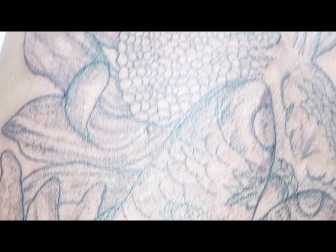 tatuagem de coruja Whip Shading