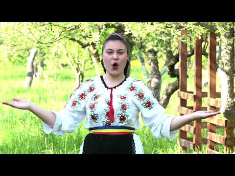 Milena Bandits - Tulai Doamne ce ma fac