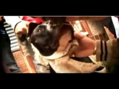 MaCasH - DANS LE CIRCUIT [ Street Clip ].avi