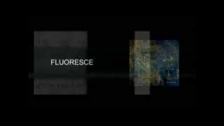 Spill (T.Buck / M.Mayas) - Fluoresce