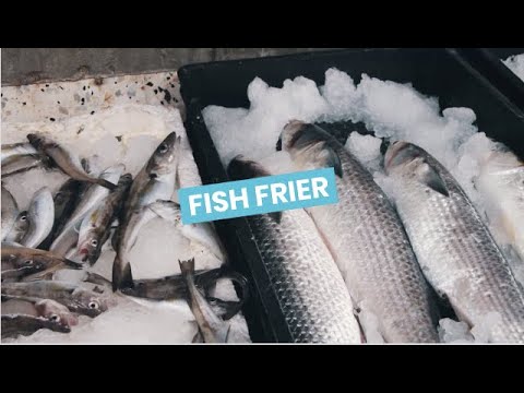 Fish frier video 3