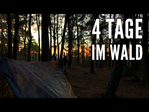 4 days in the Palatinate Forest - End-of-season tour to the trekking sites - Part 1/2